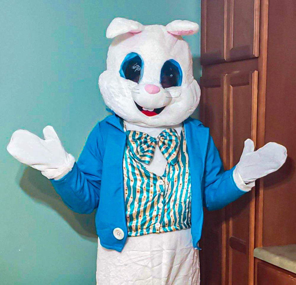 virus vignettes bunny1